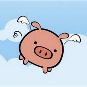 Meet your Posher, Lynn